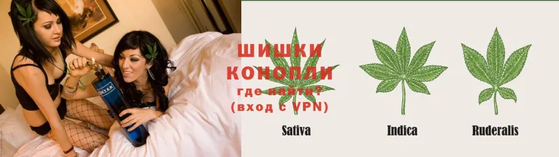 Шишки марихуана THC 21%  Беслан 